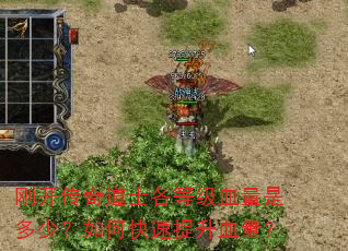刚开传奇道士各等级血量是多少?如何快速提升血量? 刚开传奇道士各等级血量是多少?如何快速提升血量?
