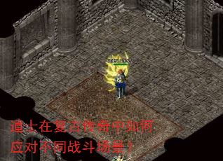 ��ʿ�ڸ��Ŵ��������Ӧ�Բ�ͬս��������