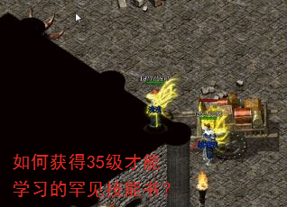 如何获得35级才能学习的罕见技能书? 如何获得35级才能学习的罕见技能书?