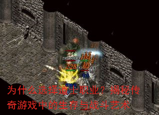 为什么选择道士职业?揭秘传奇游戏中的生存与战斗艺术 为什么选择道士职业?揭秘传奇游戏中的生存与战斗艺术