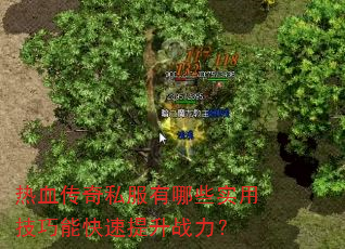 热血传奇私服有哪些实用技巧能快速提升战力? 热血传奇私服有哪些实用技巧能快速提升战力?