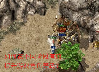 如何在不同阶段有效提升游戏角色等级? 如何在不同阶段有效提升游戏角色等级?