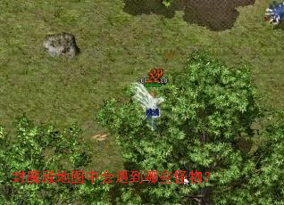 封魔殿地图中会遇到哪些怪物? 封魔殿地图中会遇到哪些怪物?