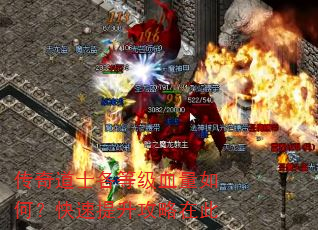 传奇道士各等级血量如何?快速提升攻略在此 传奇道士各等级血量如何?快速提升攻略在此