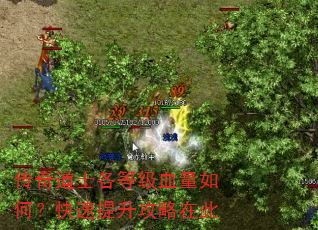 传奇道士各等级血量如何?快速提升攻略在此 传奇道士各等级血量如何?快速提升攻略在此