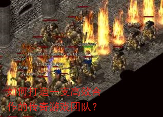 如何打造一支高效合作的传奇游戏团队? 如何打造一支高效合作的传奇游戏团队?