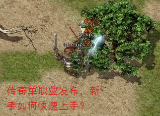 传奇单职业发布,新手如何快速上手? 传奇单职业发布,新手如何快速上手?
