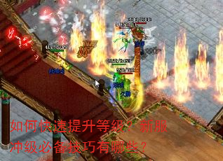 如何快速提升等级?新服冲级必备技巧有哪些? 如何快速提升等级?新服冲级必备技巧有哪些?