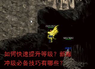 如何快速提升等级?新服冲级必备技巧有哪些? 如何快速提升等级?新服冲级必备技巧有哪些?