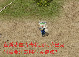 在新热血传奇私服玩萨巴克时需要注意哪些关键点? 在新热血传奇私服玩萨巴克时需要注意哪些关键点?