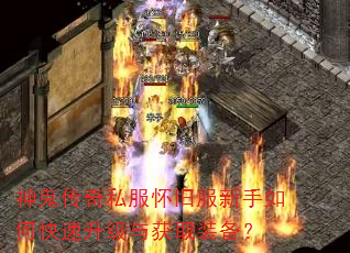 神鬼传奇私服怀旧服新手如何快速升级与获取装备? 神鬼传奇私服怀旧服新手如何快速升级与获取装备?