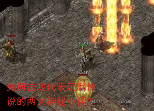 如何击败代表沉默传说的两大神秘小怪? 如何击败代表沉默传说的两大神秘小怪?