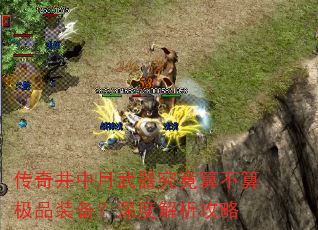 传奇井中月武器究竟算不算极品装备?深度解析攻略 传奇井中月武器究竟算不算极品装备?深度解析攻略