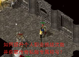 如何提升个人职业挑战次数并获取传奇私服专属称号? 如何提升个人职业挑战次数并获取传奇私服专属称号?