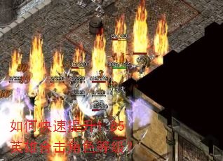 如何快速提升1.85英雄合击角色等级? 如何快速提升1.85英雄合击角色等级?
