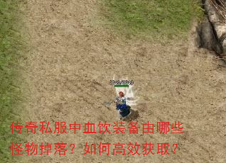 传奇私服中血饮装备由哪些怪物掉落?如何高效获取? 传奇私服中血饮装备由哪些怪物掉落?如何高效获取?
