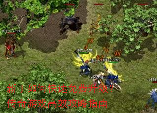 新手如何快速免费升级?传奇游戏高效攻略指南 新手如何快速免费升级?传奇游戏高效攻略指南
