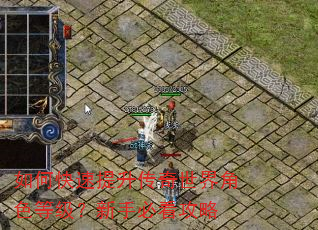 如何快速提升传奇世界角色等级?新手必看攻略 如何快速提升传奇世界角色等级?新手必看攻略
