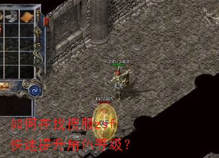 如何在找搜服zsf快速提升角色等级? 如何在找搜服zsf快速提升角色等级?