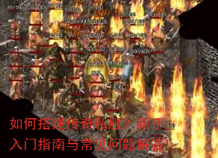 ��δ����˽������������ָ���볣��������