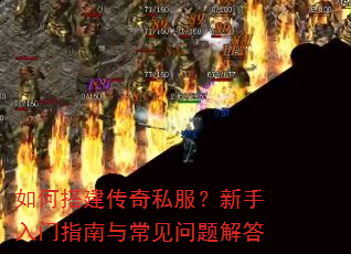 ��δ����˽������������ָ���볣��������