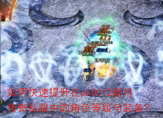 ��ο���������pk0012���´���˽���еĽ�ɫ�ȼ���װ����