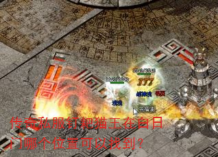 传奇私服钉耙猫王在白日门哪个位置可以找到? 传奇私服钉耙猫王在白日门哪个位置可以找到?