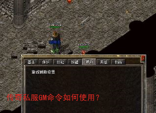 ����˽��GM�������ʹ�ã�