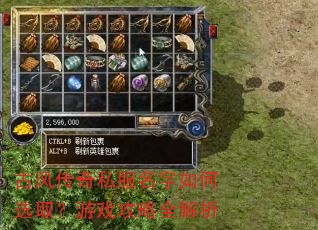 �ŷ紫��˽���������ѡȡ����Ϸ����ȫ����