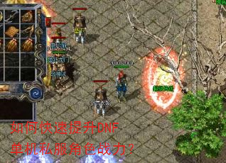 ��ο�������DNF����˽����ɫս����