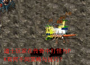 道士玩家在传奇中打怪与PK有何不同策略与技巧? 道士玩家在传奇中打怪与PK有何不同策略与技巧?