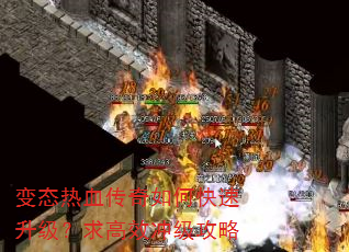 ��̬��Ѫ������ο������������Ч�弶����
